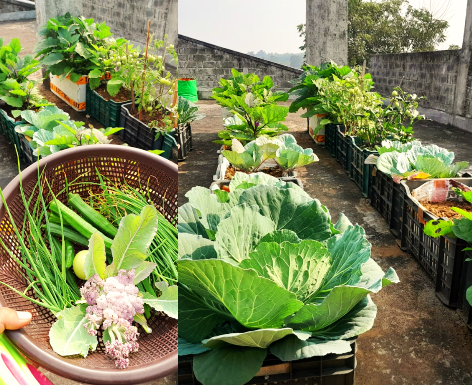 Roof Top Vegetable Gardening At NEEV Centre